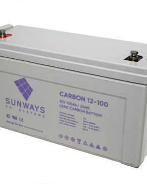 Аккумуляторная батарея SUNWAYS CARBON 12-100