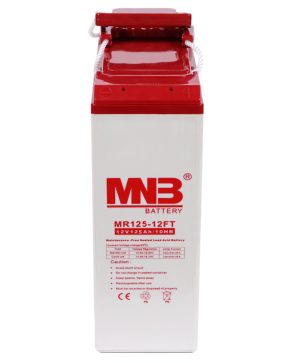 Аккумуляторная батарея MNB MR125-12FT