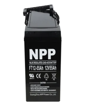 Аккумуляторная батарея для ИБП NPP FT12-55 12V55Ah