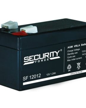 Аккумуляторная батарея Security Force SF 12012