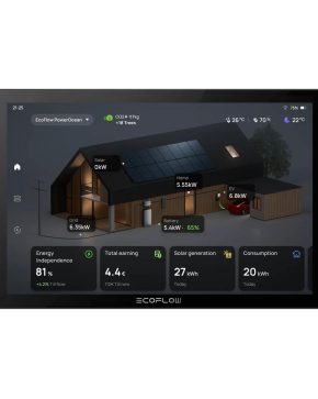 Монитор EcoFlow PowerInsight