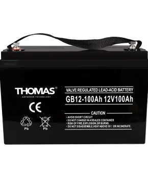 Аккумуляторная батарея для ИБП Thomas GB12-100 12V100Ah