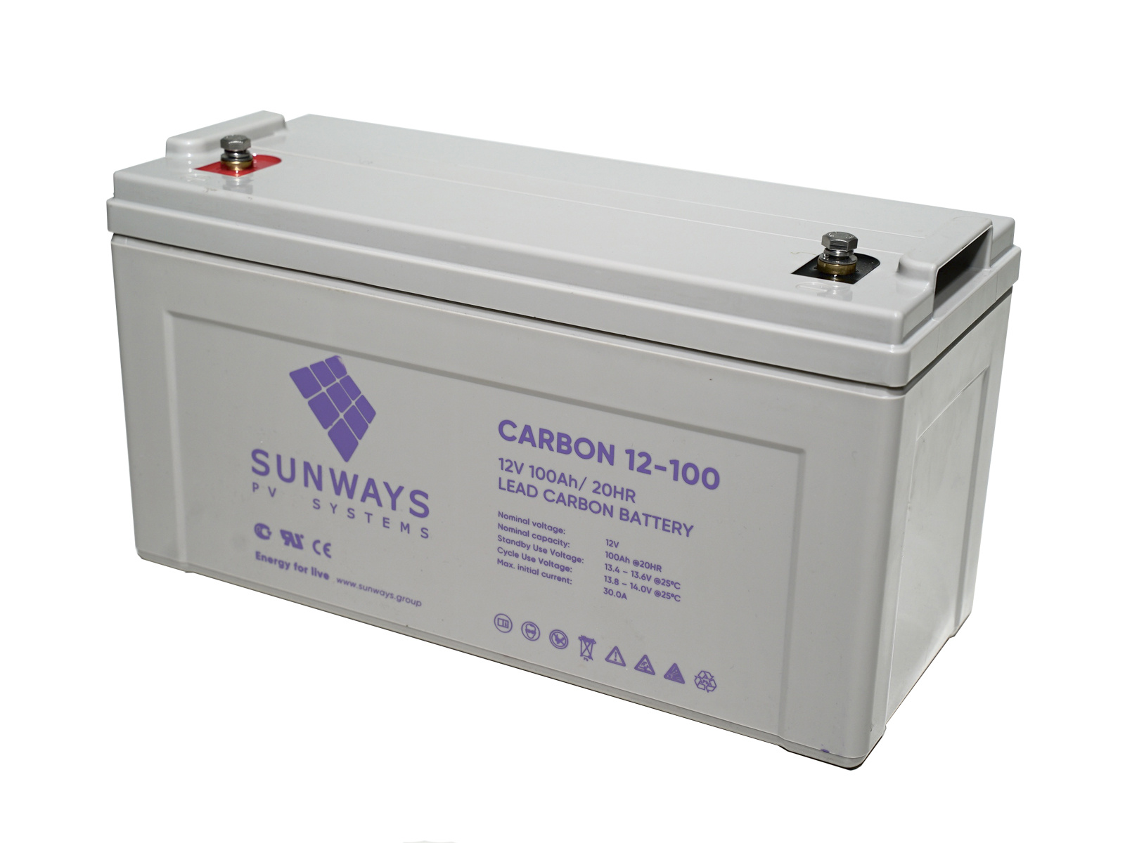 Аккумуляторная батарея SUNWAYS CARBON 12-100 — изображение 2