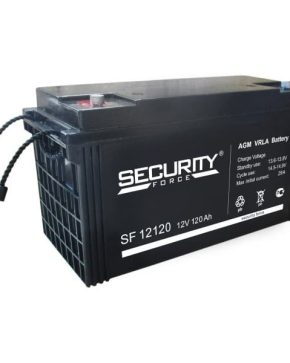 Аккумуляторная батарея Security Force SF 12120
