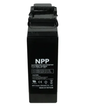 Аккумуляторная батарея для ИБП NPP FT12-100 12V100Ah