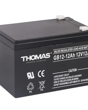 Аккумуляторная батарея для ИБП Thomas GB12-12 12V12Ah