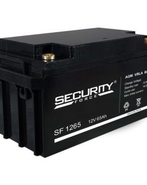 Аккумуляторная батарея Security Force SF 1265