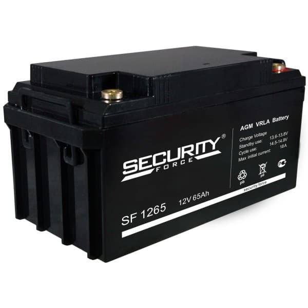 Аккумуляторная батарея Security Force SF 1265 — изображение 2