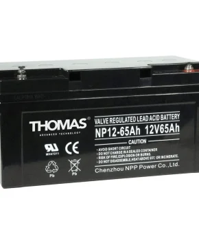 Аккумуляторная батарея для ИБП Thomas GB12-65 12V65Ah